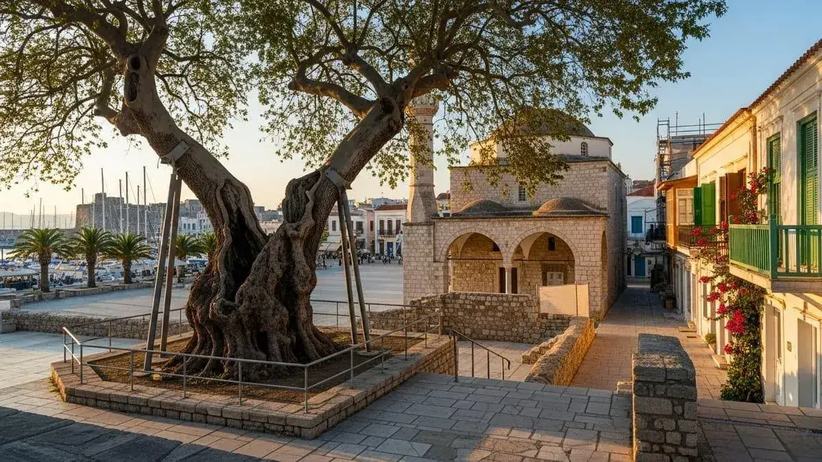 Κως πλοίο προορισμός