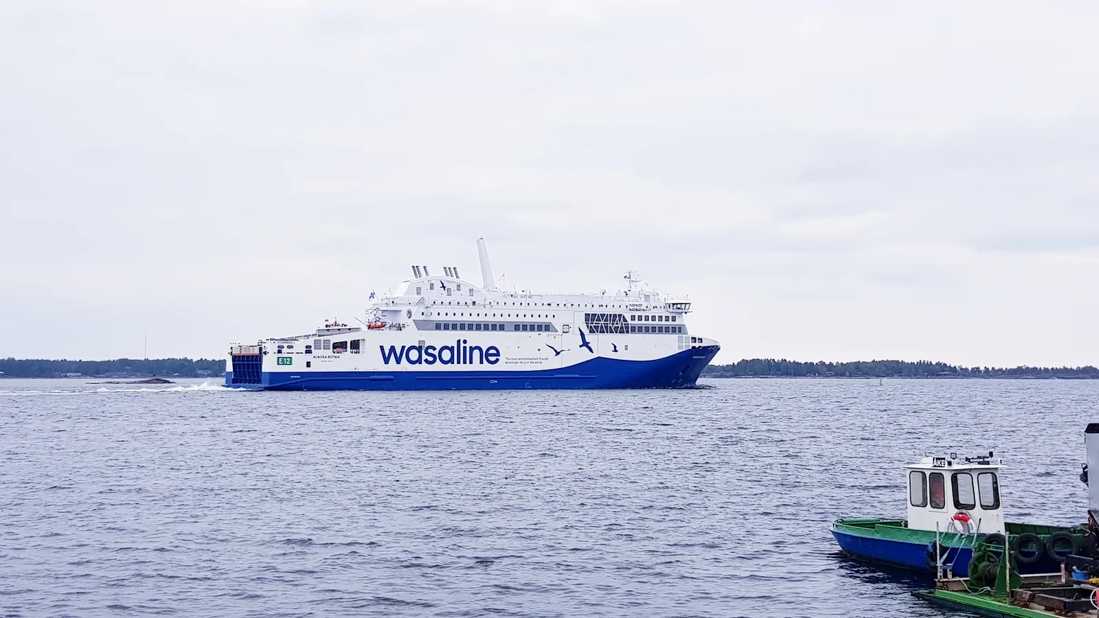 Πλοίο της Wasaline
